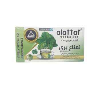العطار اعشاب النعنع البري – 20 ظرف