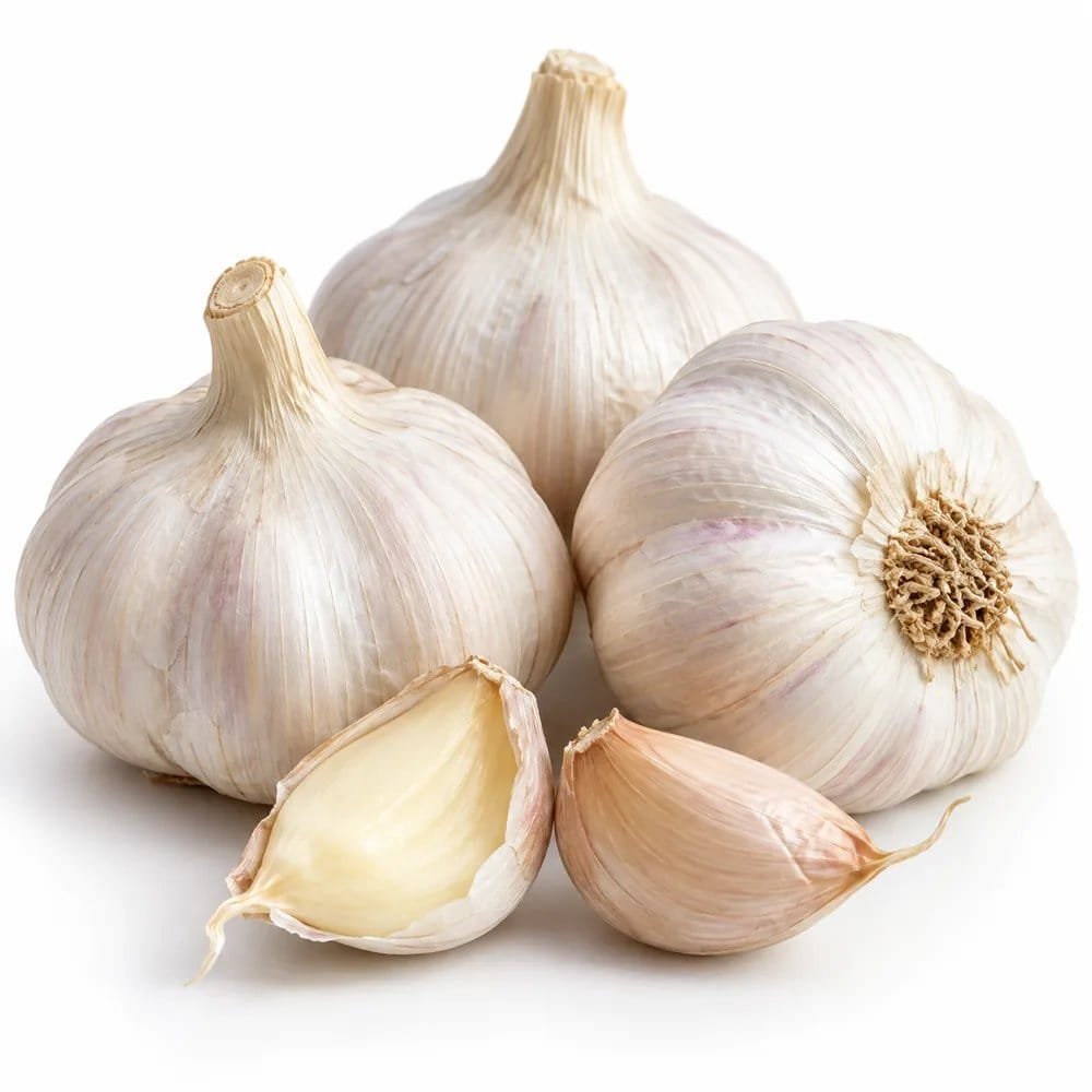 Fresh garlic bulbs and cloves on a white background